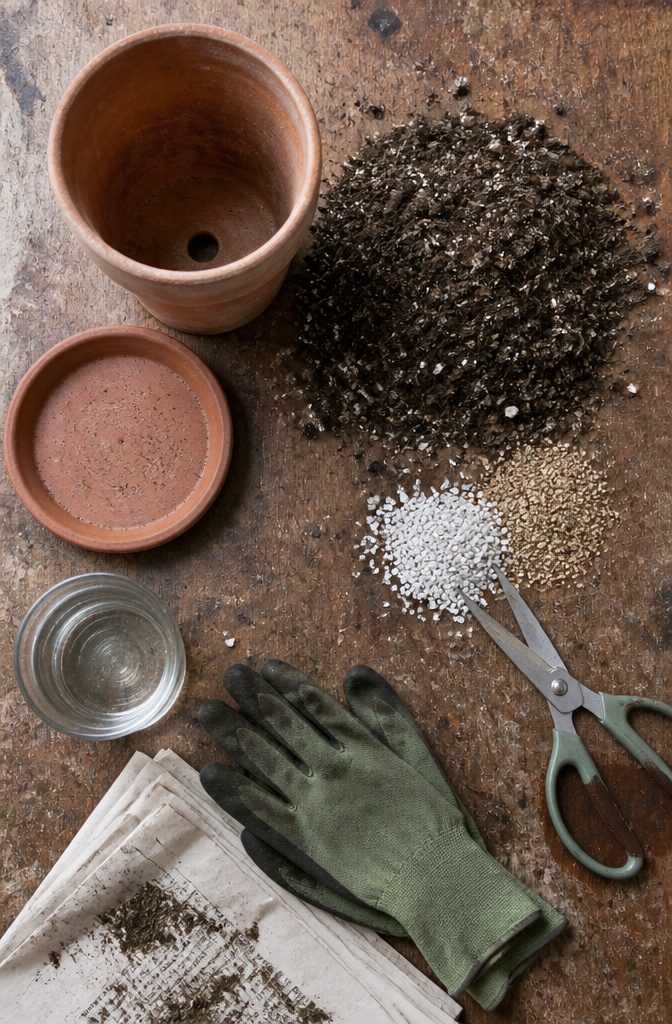 How to Repot a Snake Plant in 6 Steps 3 Clay pot with drainage hole beside a bag of cactus mix